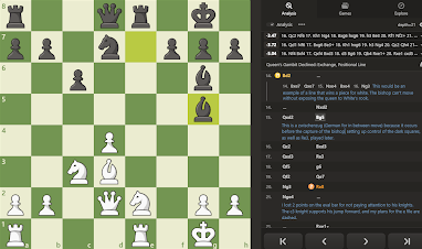 Inside the Mind of An SBHS Chess Star