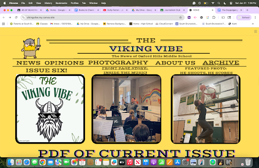 The homepage of the OTHER Viking Vibe